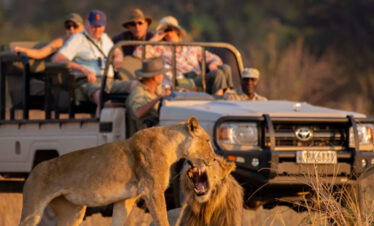 Game Driving Nyerere National Park